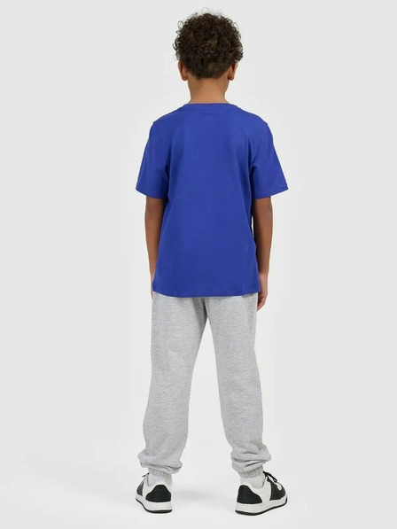 4F Pantaloni de trening pentru băieți 4F