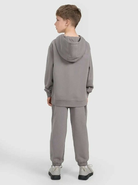 4F Pantaloni de trening pentru băieți 4F