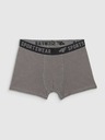 4F Boxeri pentru băieți 4F (3pack)