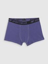 4F Boxeri pentru băieți 4F (3pack)
