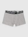 4F Boxeri pentru băieți 4F (3pack)