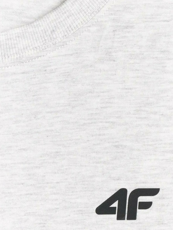 4F Tricou bărbătesc 4F Jack