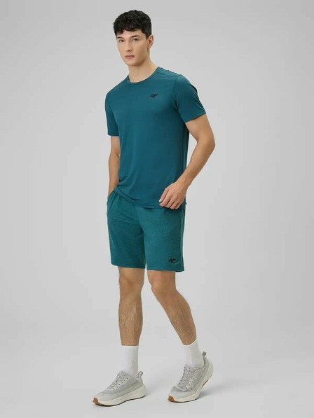 4F Tricou bărbătesc 4F FNK