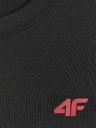 4F Tricou bărbătesc 4F Jack