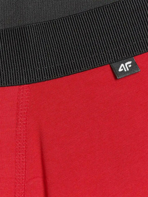 4F Boxeri bărbătești 4F (2pack)