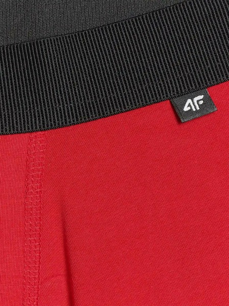 4F Boxeri bărbătești 4F (2pack)