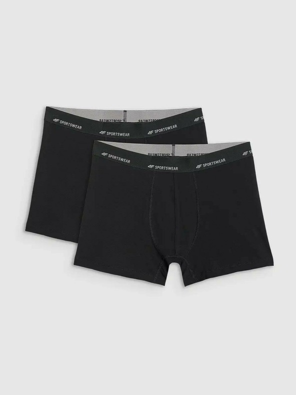 4F Boxeri bărbătești 4F Falcon (2pack)