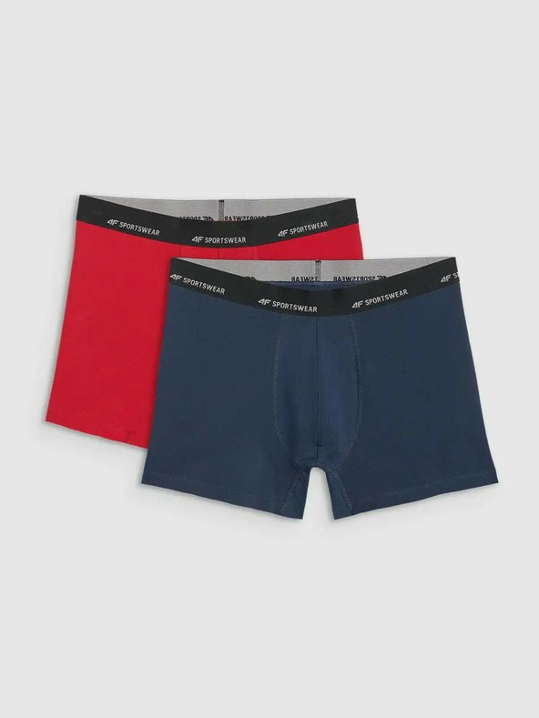 4F Boxeri bărbătești 4F Falcon (2pack)