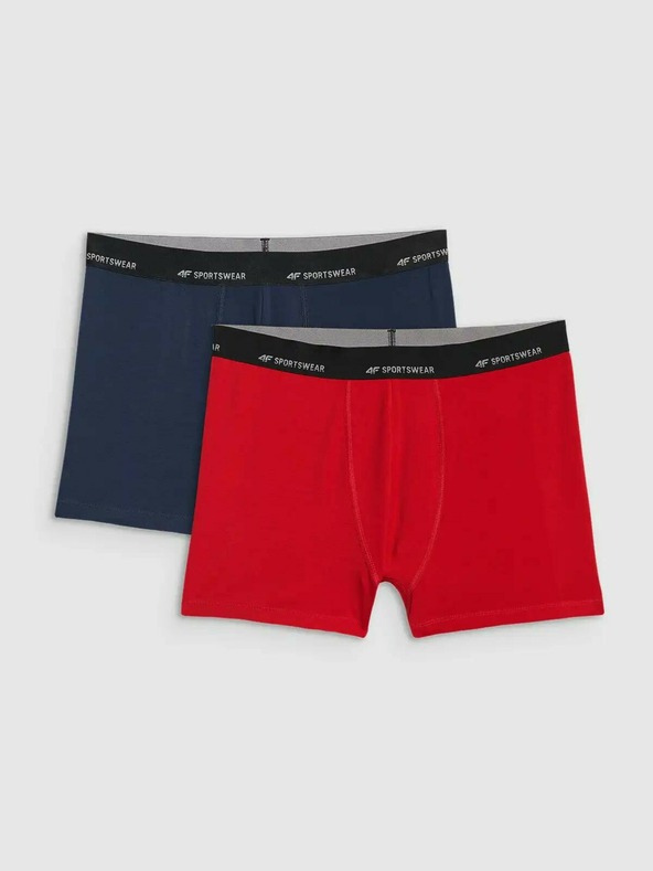 4F Boxeri bărbătești 4F Falcon (2pack)