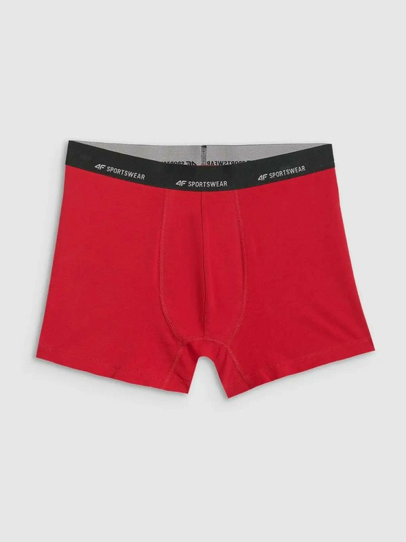 4F Boxeri bărbătești 4F Falcon (2pack)