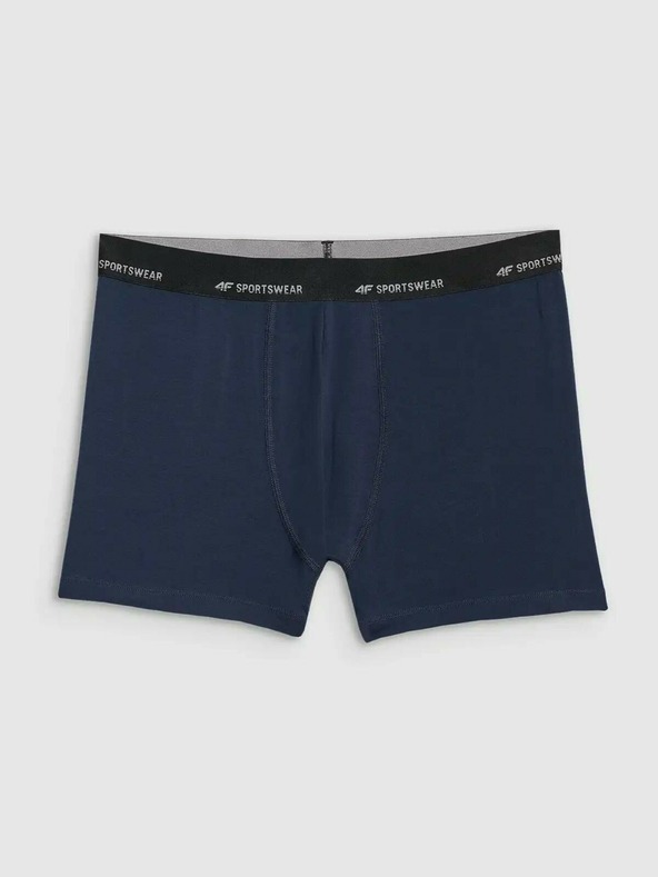 4F Boxeri bărbătești 4F Falcon (2pack)