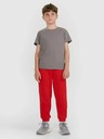 4F Tricou băieți 4F