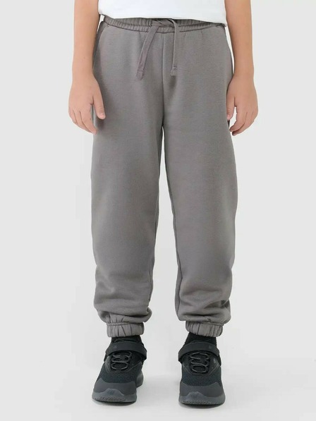4F Pantaloni de trening pentru băieți 4F