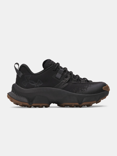 Under Armour Încălțaminte pentru femei Under Armour UA W Charged Expanse Low WP