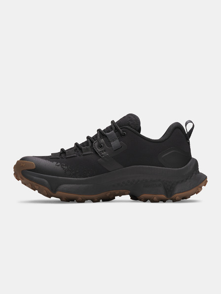 Under Armour Încălțaminte pentru femei Under Armour UA W Charged Expanse Low WP