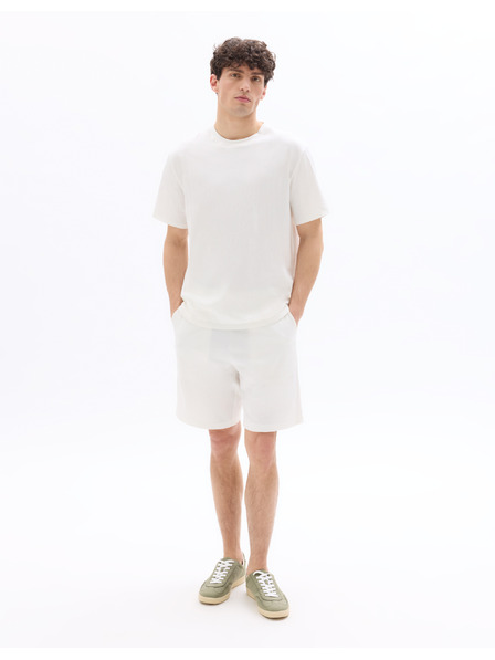 Celio Tricou Neplissti