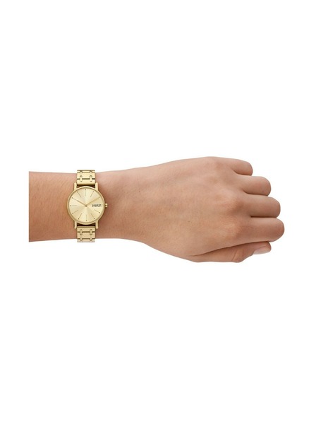 Skagen Ceasuri rotunde pentru femei Skagen Signatur Lille SKW3124