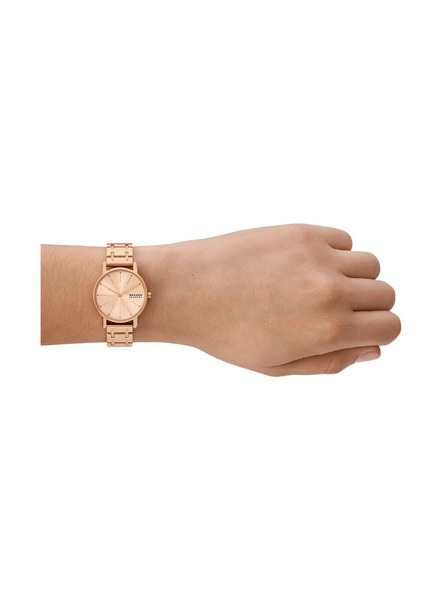 Skagen Ceasuri rotunde pentru femei Skagen Signatur Lille SKW3125