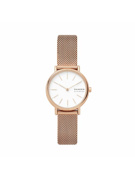 Skagen Ceasuri pentru femei Skagen Signatur Lille Mesh SKW2694