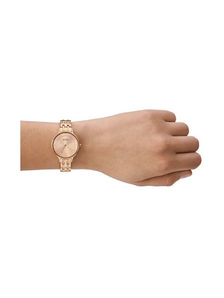 Skagen Ceasuri rotunde pentru femei Skagen Anita Lille SKW3128