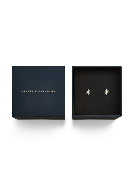 Daniel Wellington Cercei oțel pentru femei Daniel Wellington Mirelle Star DW00401611