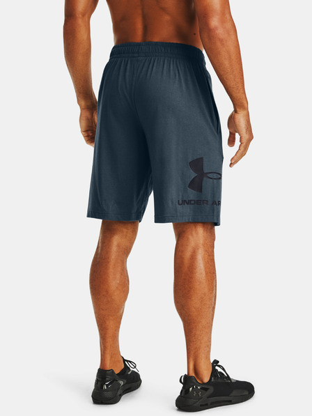 Under Armour Pantaloni scurți pentru bărbați Under Armour COTTON BIG LOGO SHORTS