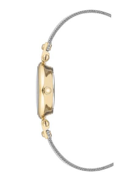 Anne Klein Ceas dama rotund Anne Klein mesh AK/3003SVTT