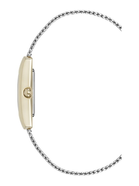 Anne Klein Ceasuri pătrate pentru femei Anne Klein mesh AK/5233MPTT