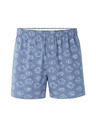 Celio Boxeri Niwofishb