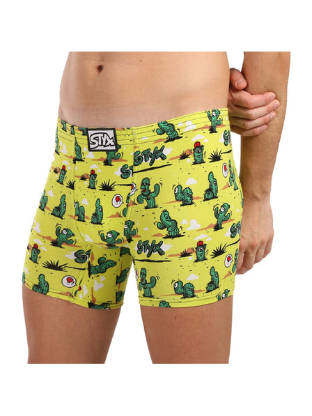 Styx Boxeri bărbați Styx long art bandă clasică cactuși