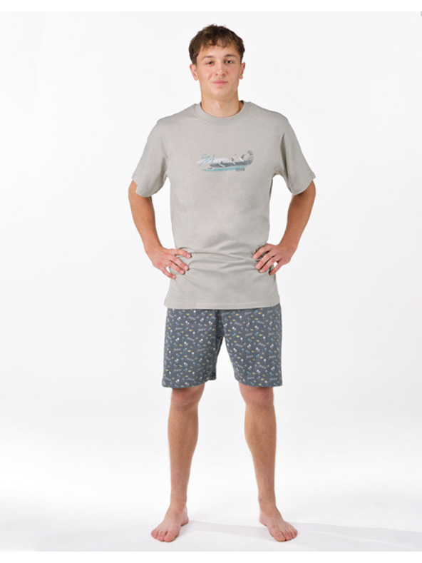 gino Pijama bărbătească Gino multicolor