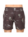 Rip Curl Pantaloni de baie bărbătești Rip Curl multicolor