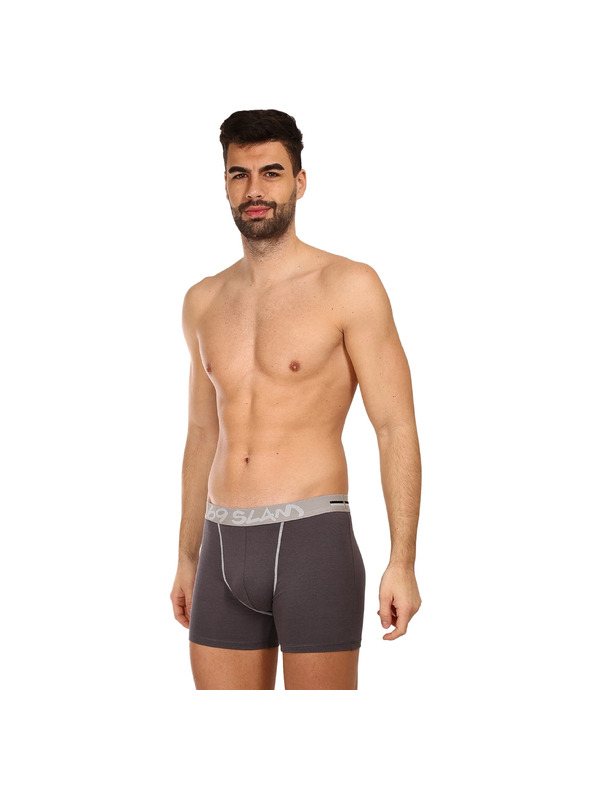 69slam Boxeri bărbătești 69SLAM fit bamboo plain