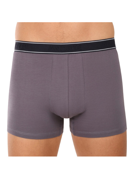 andrie Boxeri bărbați Andrie multicolori (PS 5828/light gray)