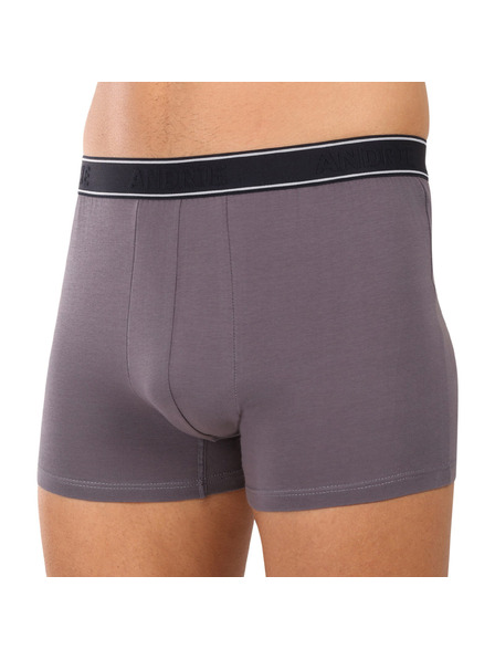 andrie Boxeri bărbați Andrie multicolori (PS 5828/light gray)