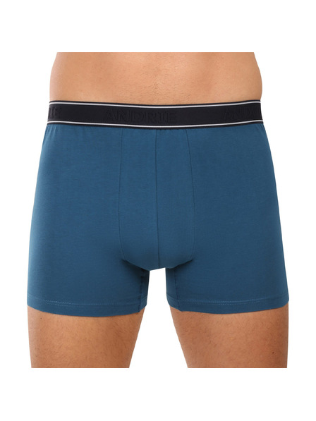 andrie Boxeri bărbați Andrie multicolori (PS 5828/green)