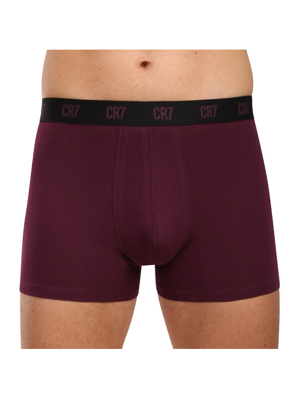 CR7 Set cinci - Boxeri bărbătești CR7 multicolor
