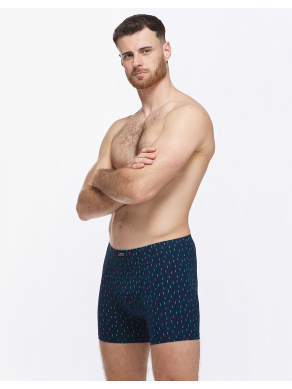 gino Boxeri bărbătești Gino multicolor