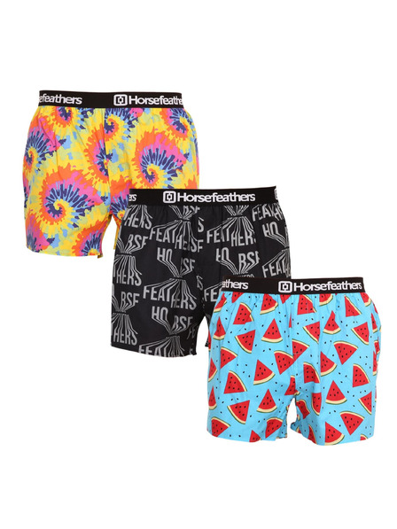 Horsefeathers Set de trei - caleți bărbătești Horsefeathers Frazier multicolori