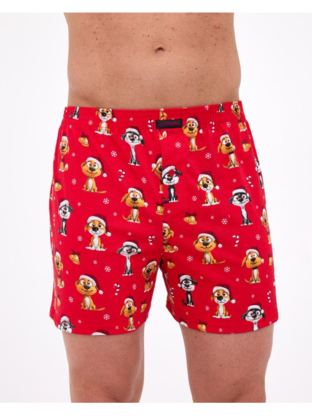 Cornette Ciorapi barbatesti Cornette Comfort multicolori (016/21)