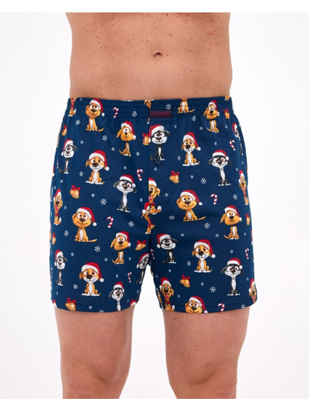 Cornette Ciorapi barbatesti Cornette Comfort multicolori (016/20)