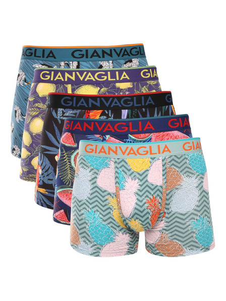 Gianvaglia Set de cinci - boxeri pentru bărbați Gianvaglia multicolori
