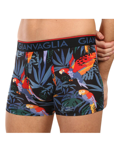 Gianvaglia Set de cinci - boxeri pentru bărbați Gianvaglia multicolori