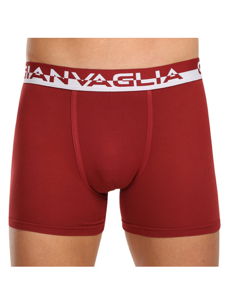 Gianvaglia Set de cinci - boxeri pentru bărbați Gianvaglia multicolori