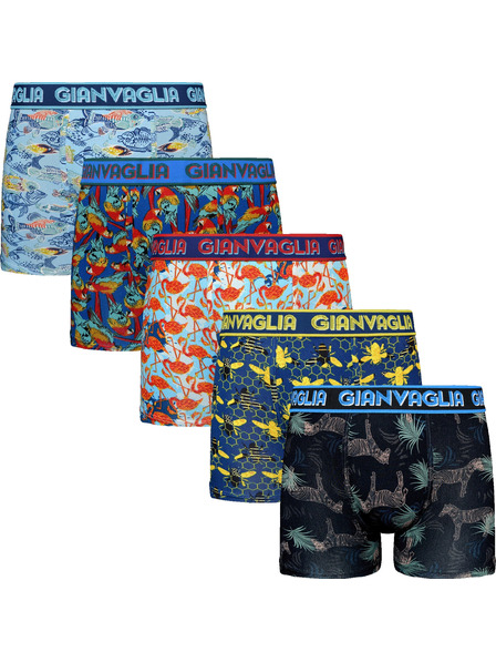 Gianvaglia Set de cinci - boxeri pentru bărbați Gianvaglia multicolori