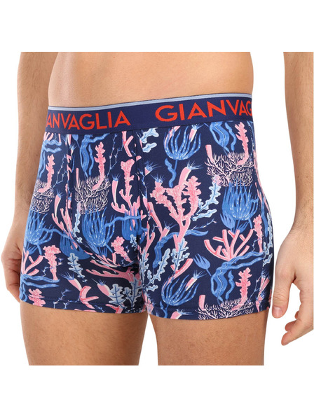Gianvaglia Set de cinci - boxeri pentru bărbați Gianvaglia multicolori