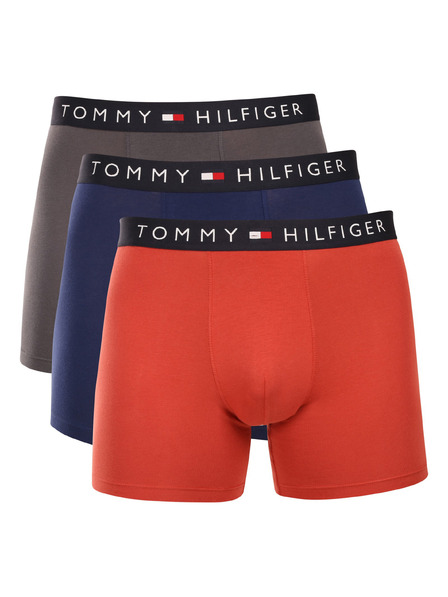 Tommy Hilfiger Set de trei - boxeri bărbați Tommy Hilfiger multicolor