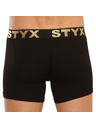 Styx Boxeri