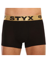 Styx Boxeri
