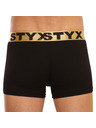 Styx Boxeri